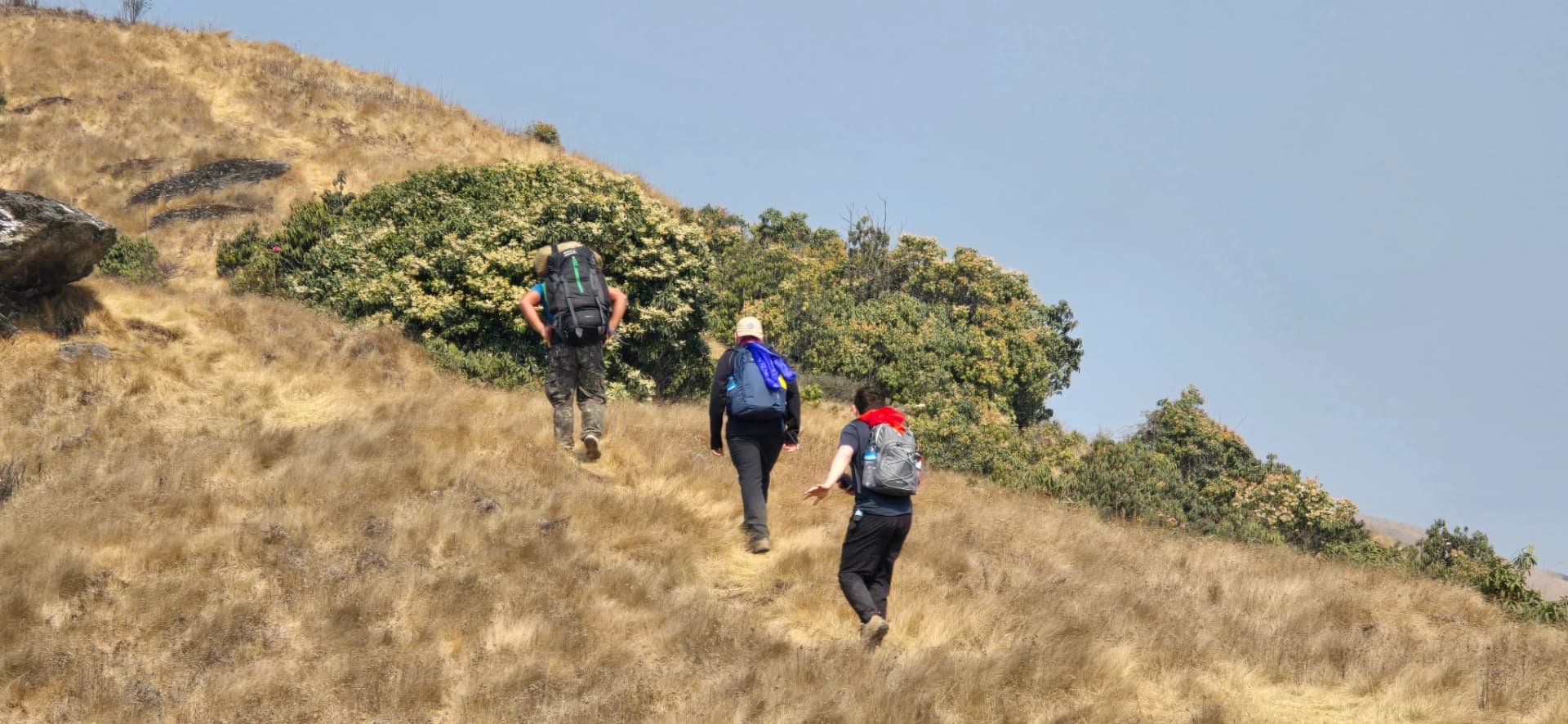 Pikey Peak Trek