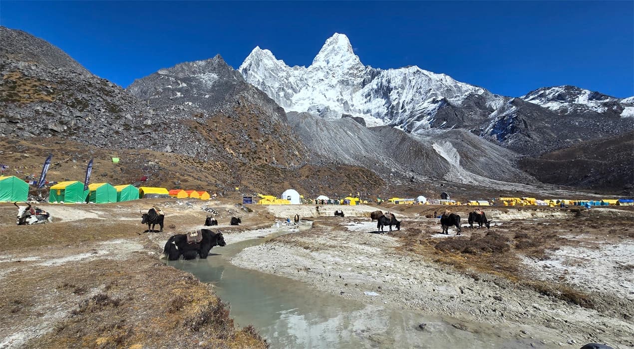 Ama Dablam Base Camp Trek