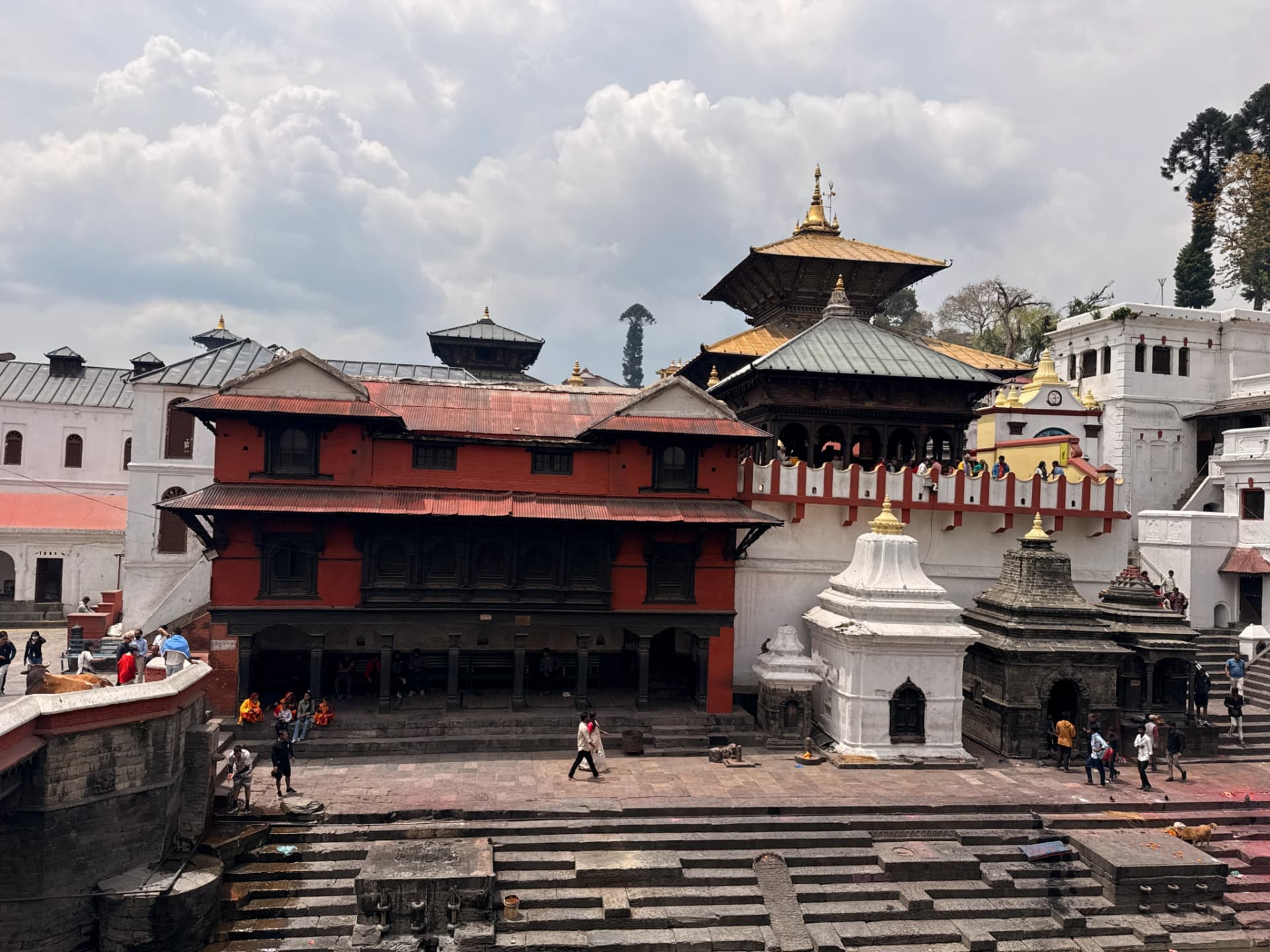 Nepal Heritage Sites & Wildlife Odyssey (9 Nights / 10 Days)