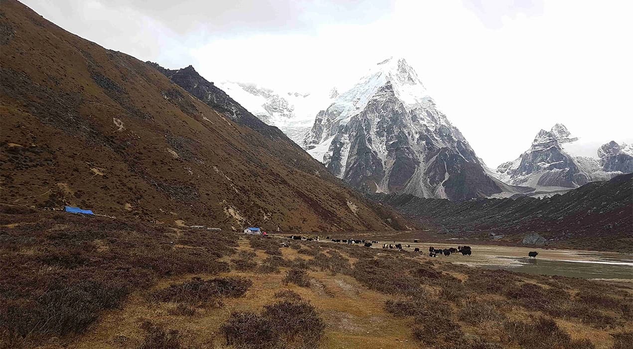 Kanchenjunga Circuit Trek