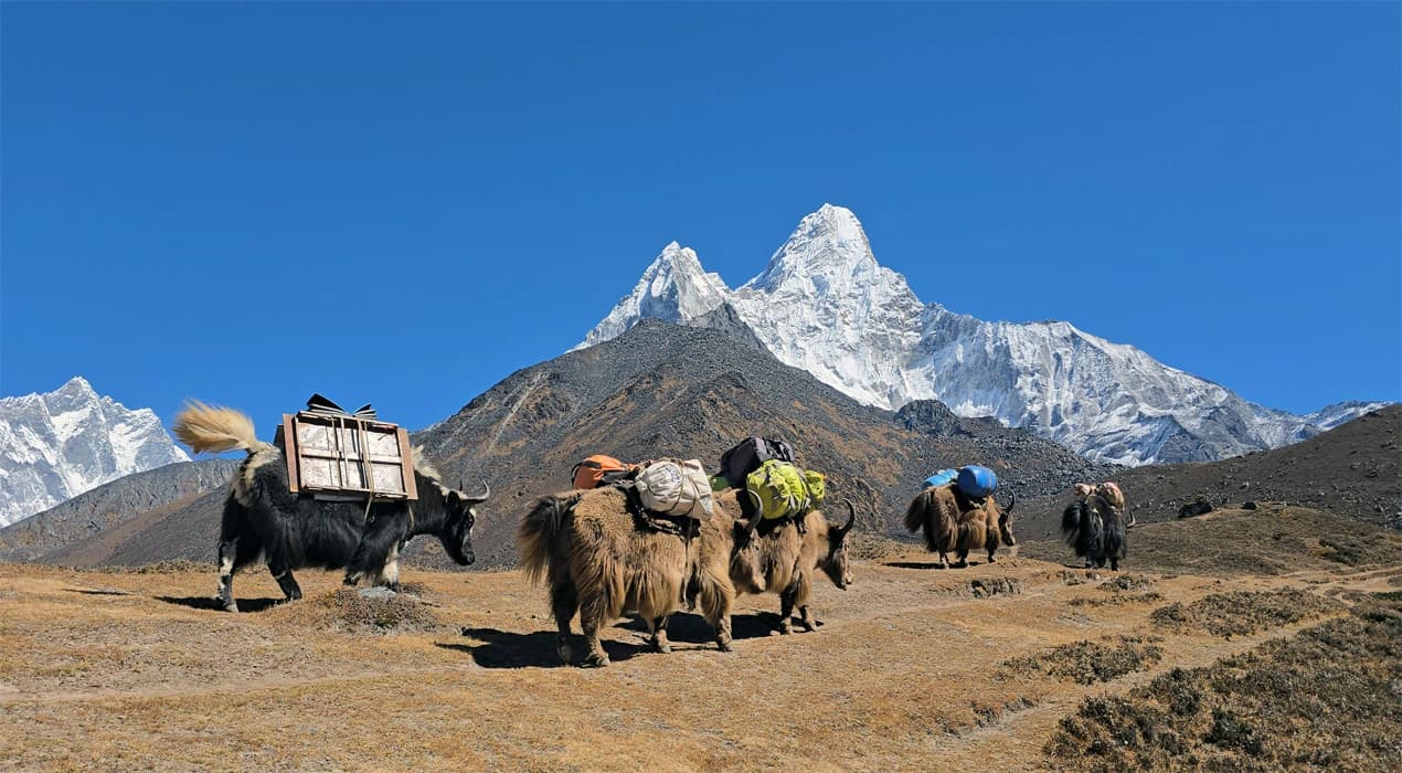 Ama Dablam Base Camp Trek
