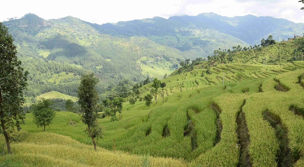 Manaslu Circuit Trek via Tsum Valley