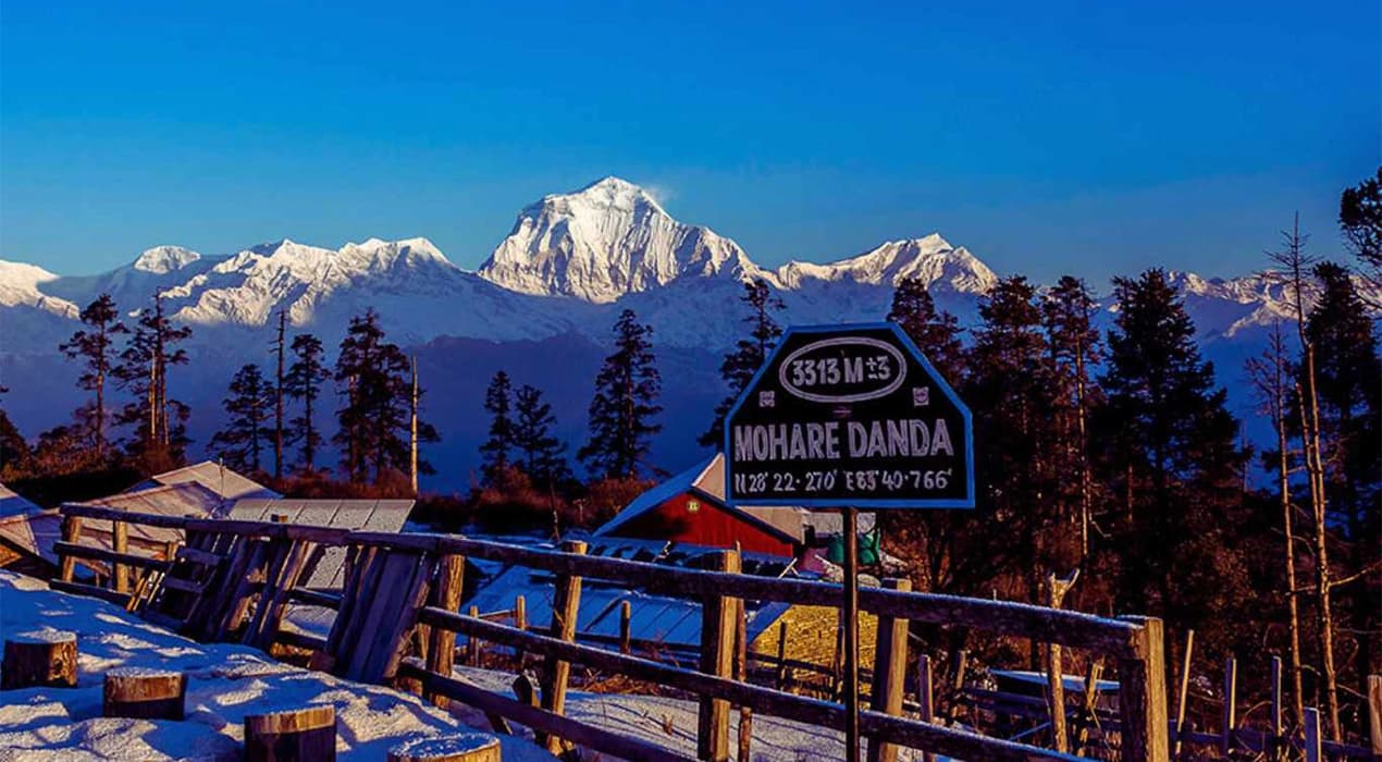 Mohare Danda Trek