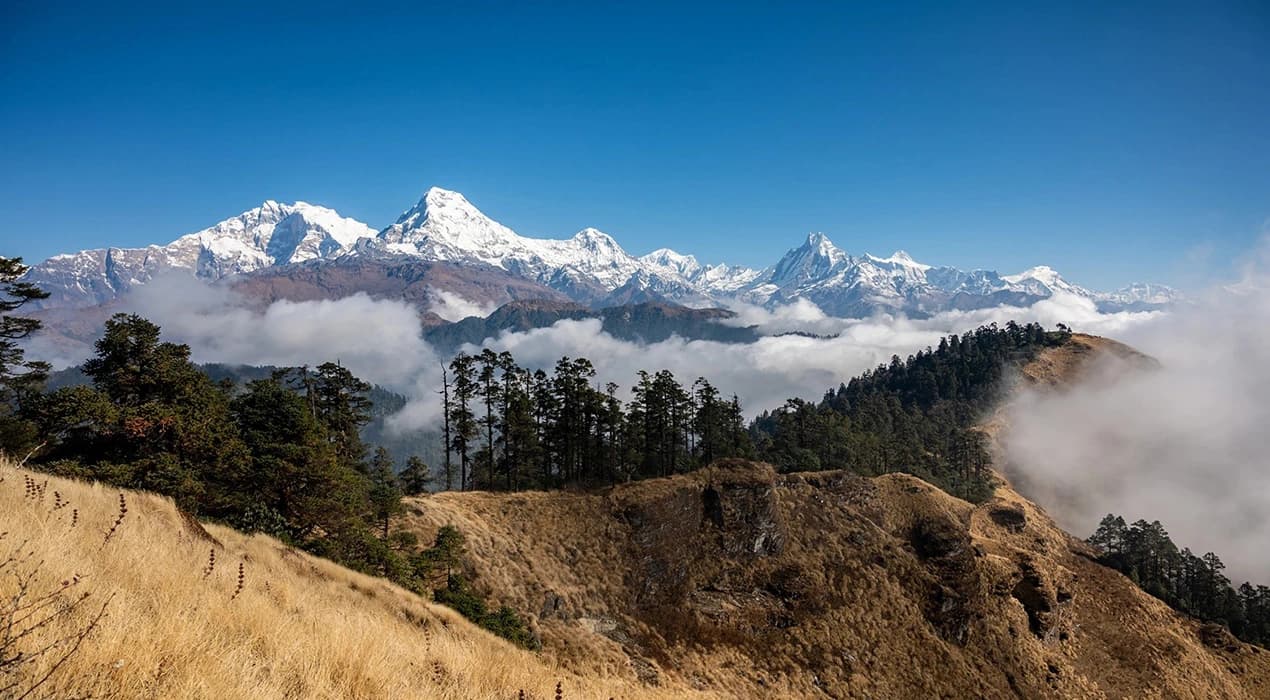 Mohare Danda Trek