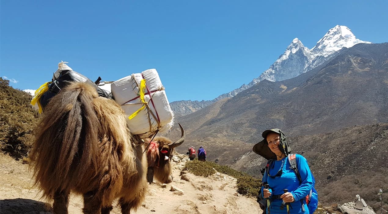 Everest Base Camp Regular Trek