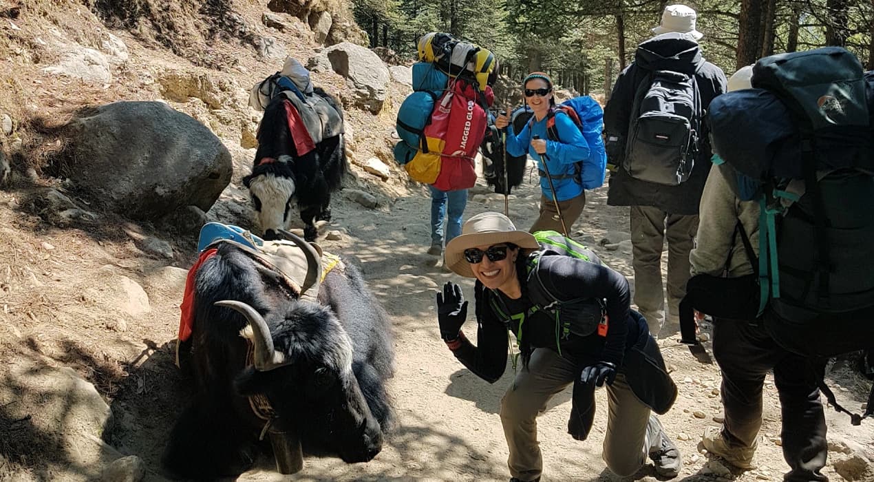 Everest Base Camp Regular Trek