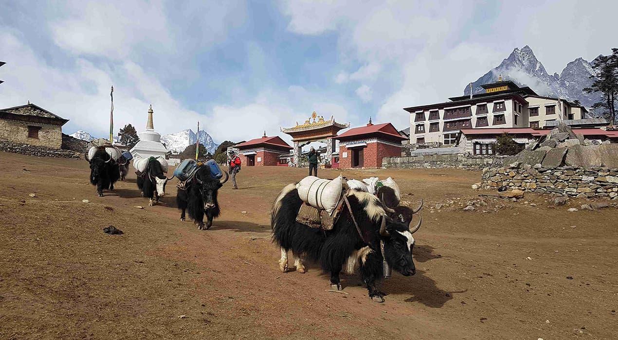Everest Panorama 4