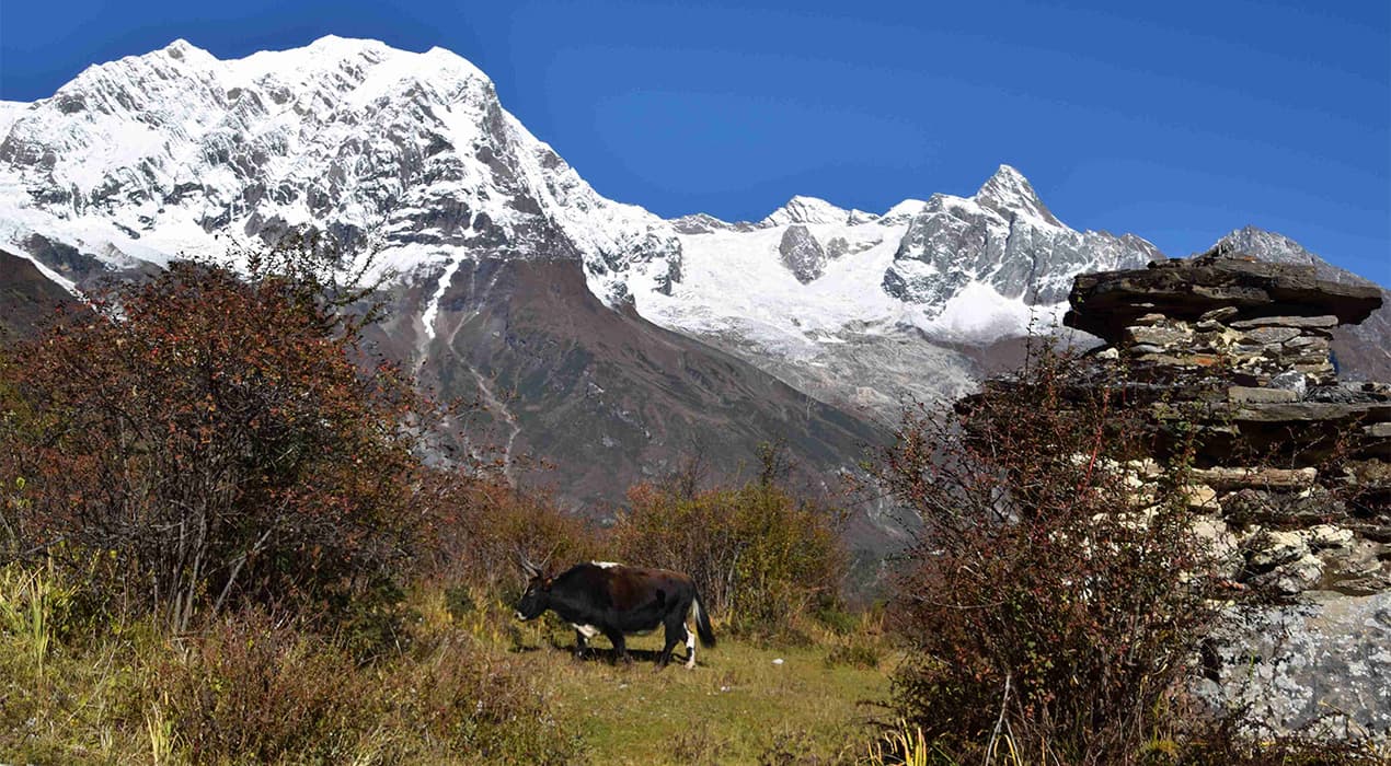 Manaslu circuit 2
