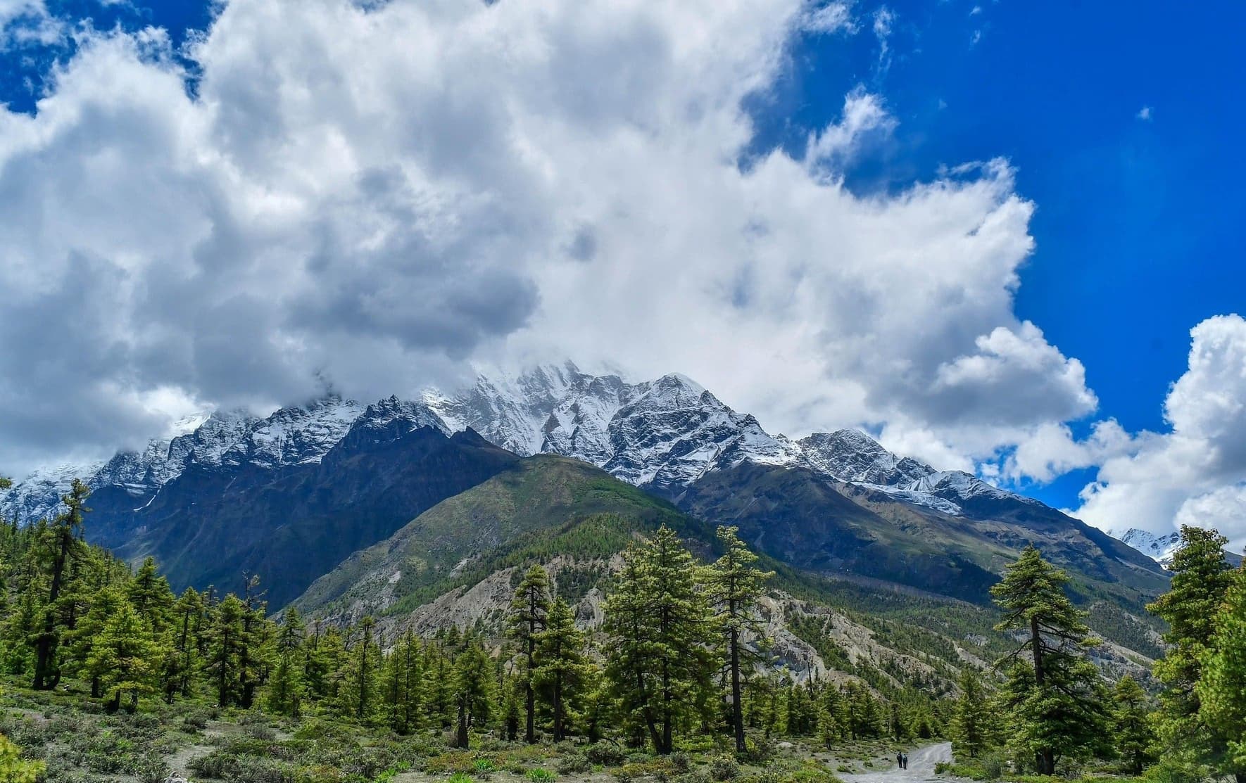 How to Choose the Best Trekking Guide in Nepal?